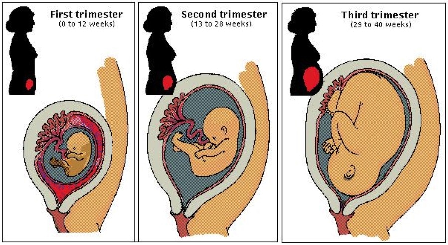 physical-activity-after-giving-birth-benefits-risks-contraindications