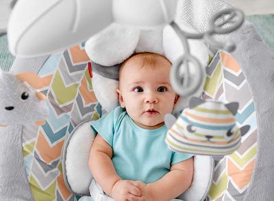 Fisher-Price Deluxe Bouncer Sweet Dreams Snugapuppy has a mobile with cute toys